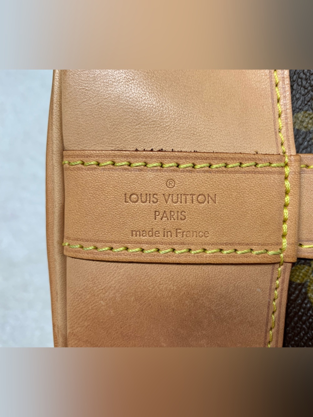 Louis Vuitton Monogram Randonnee PM Backpack - Picture 12 of 16